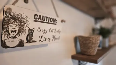 CAUTION: Crazy Cat Lady Lives Here Decorative Wooden Sign | Plaque