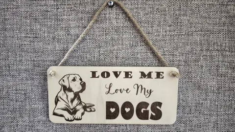 LOVE Me Love My DOGS | Labrador | Decorative Wooden Sign | Plaque