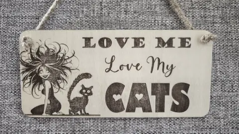 LOVE Me LOVE My Cats Decorative Sign | Plaque
