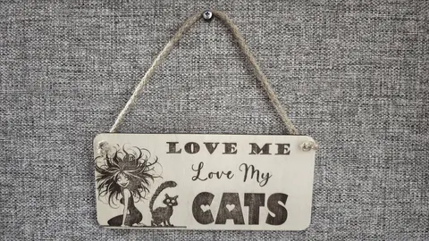 LOVE Me LOVE My Cats Decorative Sign | Plaque