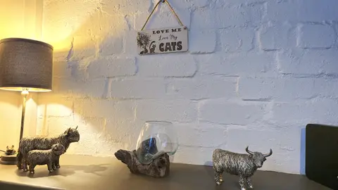 LOVE Me LOVE My Cats Decorative Sign | Plaque