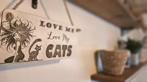 LOVE Me LOVE My Cats Decorative Sign | Plaque