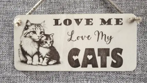 LOVE Me LOVE My Cats | Cat and Kitten Decorative Sign | Plaque