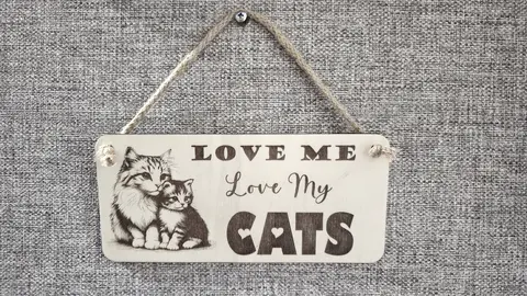 LOVE Me LOVE My Cats | Cat and Kitten Decorative Sign | Plaque