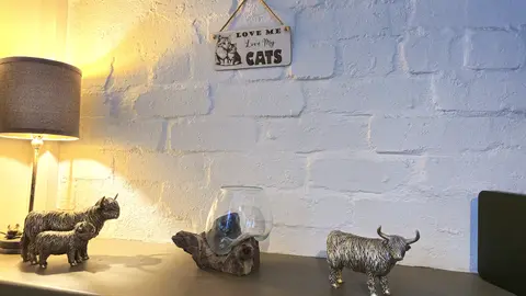 LOVE Me LOVE My Cats | Cat and Kitten Decorative Sign | Plaque