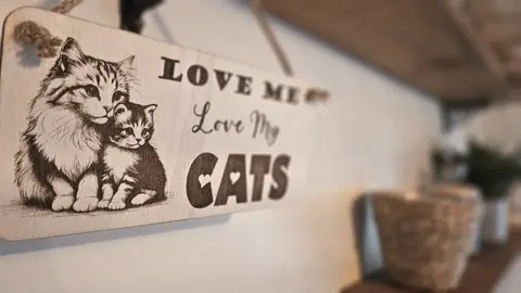 LOVE Me LOVE My Cats | Cat and Kitten Decorative Sign | Plaque
