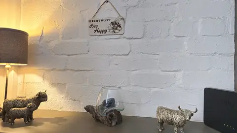 Dont Worry Bee Happy Inspirational Decorative Sign | Plaque