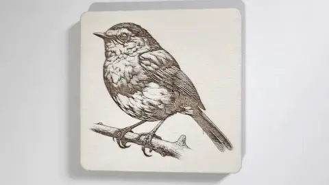 A Robin Redbreast Decorative Wooden Coaster | Personalise Options