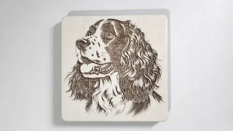 Springer Spaniel Decorative Wooden Coaster | Personalise Options