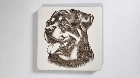 Rottweiler Decorative Wooden Coaster | Personalise Options