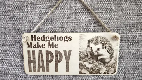 Hedgehogs Make Me HAPPY Decorative Sign | Plaque | Wall or Desk Mounted