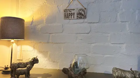 Hedgehogs Make Me HAPPY Decorative Sign | Plaque | Wall or Desk Mounted