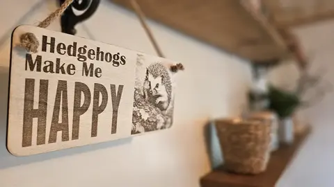 Hedgehogs Make Me HAPPY Decorative Sign | Plaque | Wall or Desk Mounted