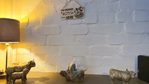 Warning A Witch Lives Here Decorative Sign | Plaque | Hanging | Desk Mount