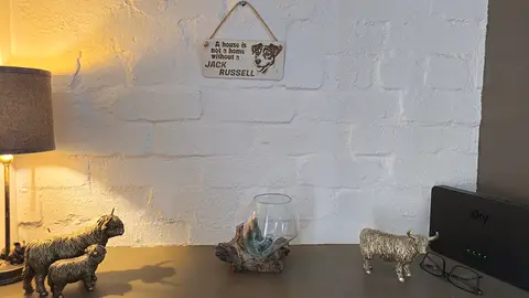 Jack Russell Decorative Sign | A House Is Not A Home Without A Jack Russell Plaque