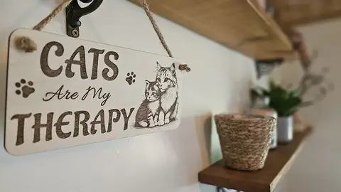 Cat and Kitten Decorative Sign | Plaque | Cats Are My Therapy Funny Quote