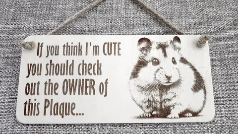 Hamster Decorative Sign | Plaque | With Cute Funny Saying