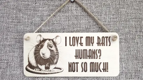 Rat Humorous and Decorative Sign | Plaque | With Cute Funny Saying