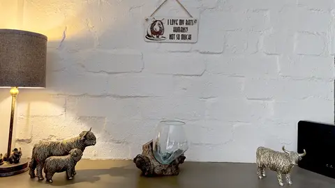 Rat Humorous and Decorative Sign | Plaque | With Cute Funny Saying