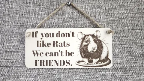 Rat Humorous Friends Quote on Decorative Sign | Plaque | With Cute Funny Saying