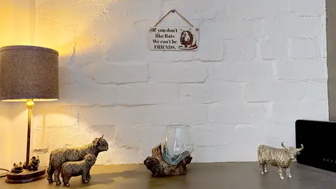 Rat Humorous Friends Quote on Decorative Sign | Plaque | With Cute Funny Saying