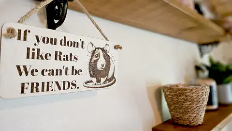 Rat Humorous Friends Quote on Decorative Sign | Plaque | With Cute Funny Saying