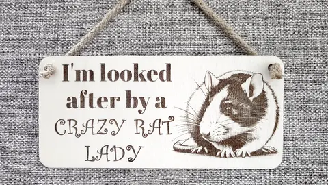 Crazy Rat Lady Quote on Decorative Sign | Plaque | With Cute Funny Saying