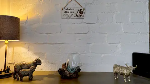 Crazy Rat Lady Quote on Decorative Sign | Plaque | With Cute Funny Saying