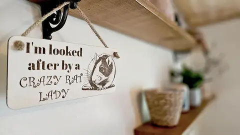 Crazy Rat Lady Quote on Decorative Sign | Plaque | With Cute Funny Saying