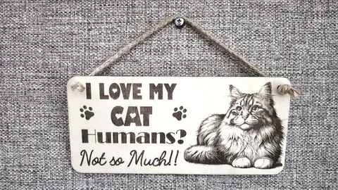 I LOVE MY CAT Humans Not So Much | Cute Cat Decorative Sign | Wooden Plaque