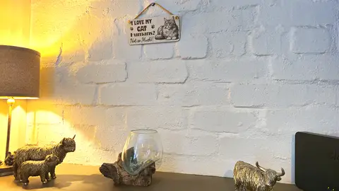 I LOVE MY CAT Humans Not So Much | Cute Cat Decorative Sign | Wooden Plaque