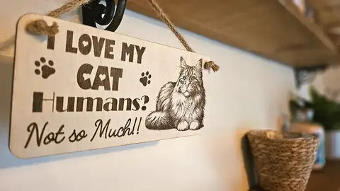 I LOVE MY CAT Humans Not So Much | Cute Cat Decorative Sign | Wooden Plaque