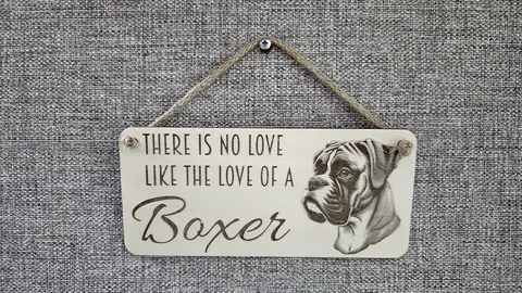Boxer Dog Decorative Signs and Plaques