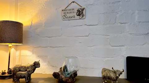 Boxer Dog Decorative Signs and Plaques