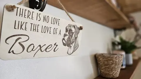 Boxer Dog Decorative Signs and Plaques