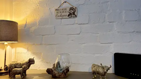 Cockapoo Decorative Signs and Plaques