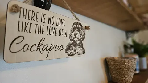 Cockapoo Decorative Signs and Plaques