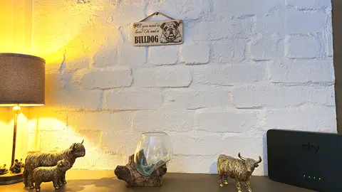 All You Need Is Love Oh and a BULLDOG Sign