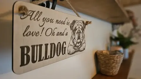 All You Need Is Love Oh and a BULLDOG Sign