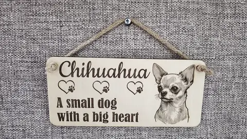 Tan Haired Chihuahua Decorative Signs and Plaques