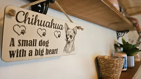 Tan Haired Chihuahua Decorative Signs and Plaques