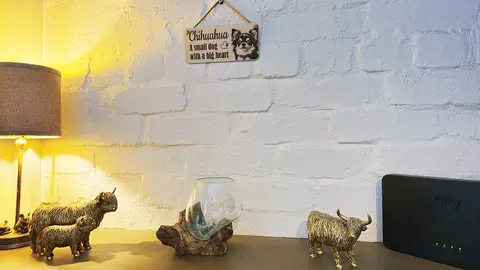 Chihuahua Decorative Signs and Plaques