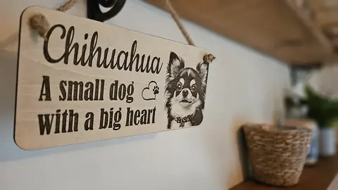 Chihuahua Decorative Signs and Plaques