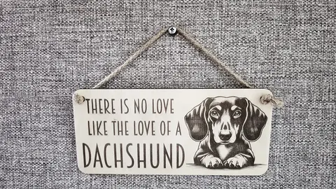 Decorative Dachshund Sign / Plaque / Personalised Option