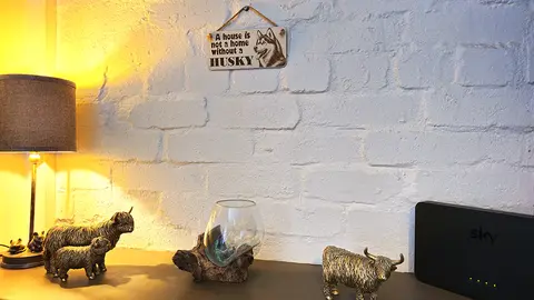 Husky Decorative Sign | Wooden Hanging Wall Plaque | A House Is Not A Home Without A Husky