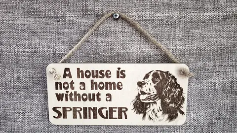Springer Spaniel Decorative Sign | Plaque | A House Is Not A Home Without a SPRINGER