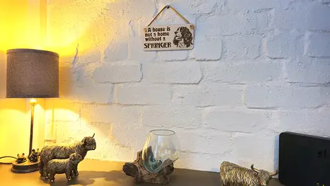 Springer Spaniel Decorative Sign | Plaque | A House Is Not A Home Without a SPRINGER