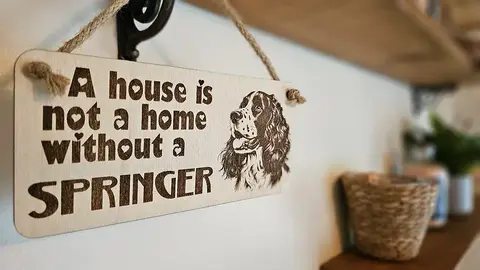 Springer Spaniel Decorative Sign | Plaque | A House Is Not A Home Without a SPRINGER