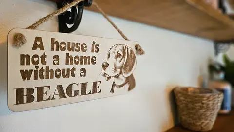 Beagle Decorative Sign | Wooden Hanging Wall Plaque | A House Is Not A Home Without A Beagle