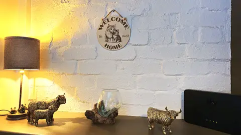 Welcome to our Home Cat and Kitten Decorative Sign